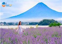 [HCM] Tour Du Lịch Nhật Bản Hành Trình Vàng Mùa Hè 6N5Đ
